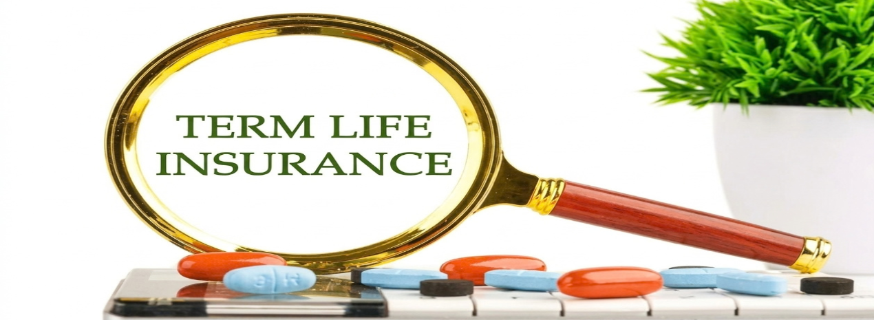 adamjeelife insurance policy